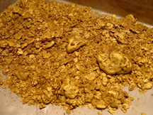 Siberian Gold we located