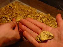 Siberian Gold we located